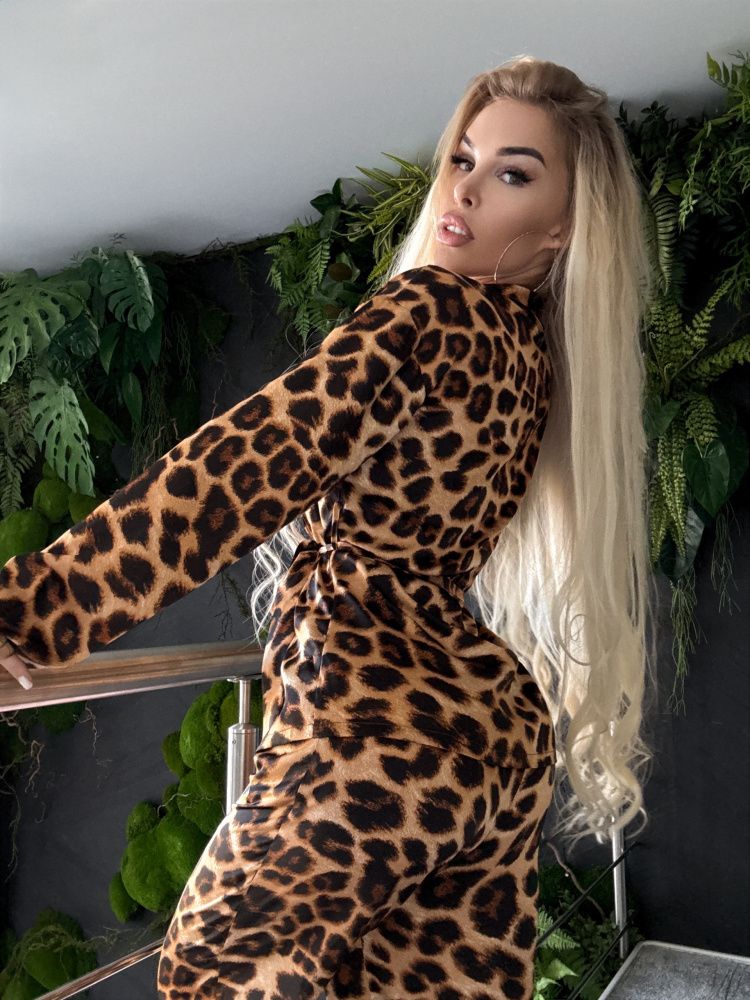 Bona Fide: Satin Jacket "Wild Cat"